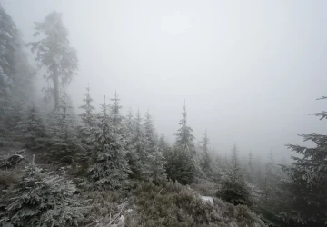 Teploty klesnou až na -2 °C a v 6 krajích bude sněžit
