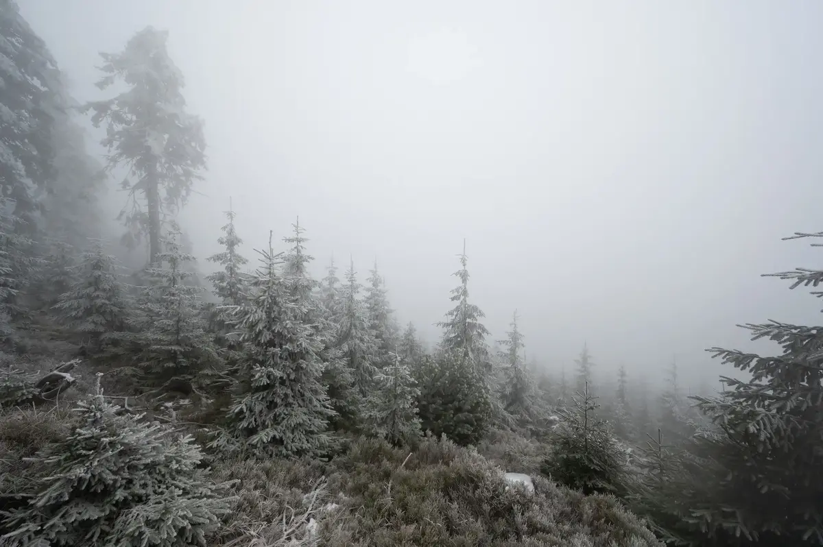 Teploty klesnou až na -2 °C a v 6 krajích bude sněžit