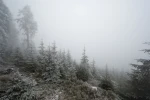 Teploty klesnou až na -2 °C a v 6 krajích bude sněžit