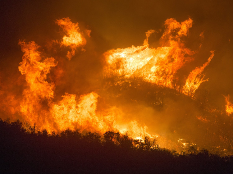 Lesní požáry v parku Los Padres