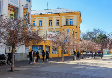 Březen začal slunečnými dny.