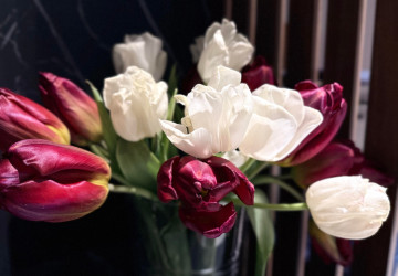 Některé jarní květiny jsou jedovaté