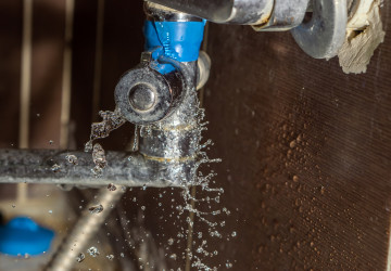 Při vytopení koupelny vás může zachránit pojistka Při vytopení koupelny vás může zachránit pojistka