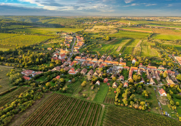 Děti z města často zaskočí realita života na vesnici