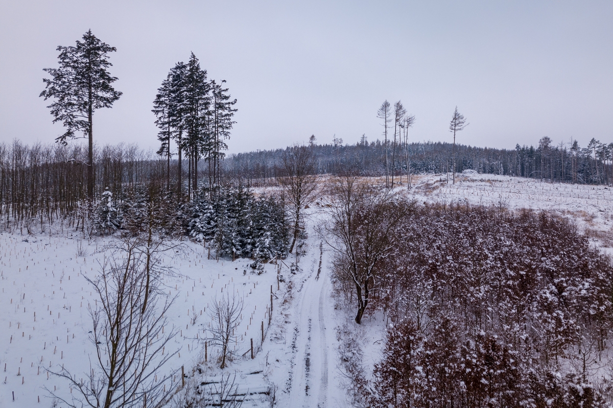 Meteorologové vydali dlouhodobou předpověď 
