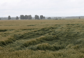 Zejména západní Čechy čeká velmi větrná sobota Zejména západní Čechy čeká velmi větrná sobota