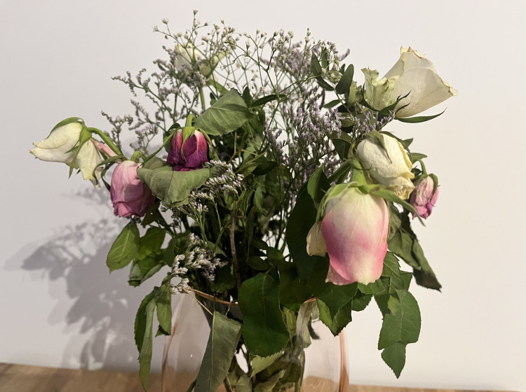 Trik, který znají jen zkušené hospodyňky