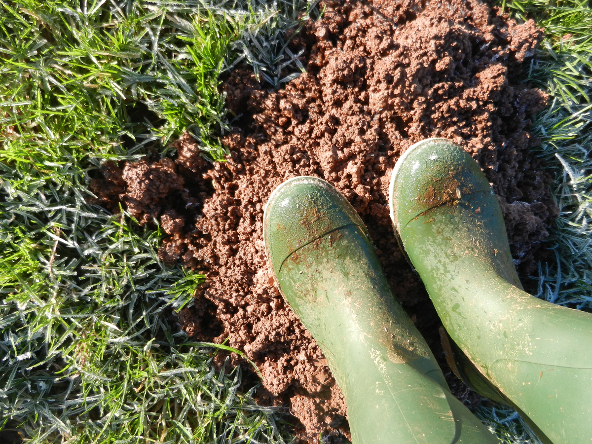 Vydatný déšť může sesuv půdy spustit. Vydatný déšť může sesuv půdy spustit.