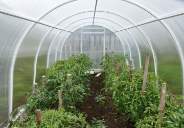 Většina Čechů volí klasický polykarbonátový skleník. 