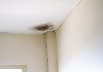 Vlhký roh u stropu místnosti časem přeroste ve vážný problém. 