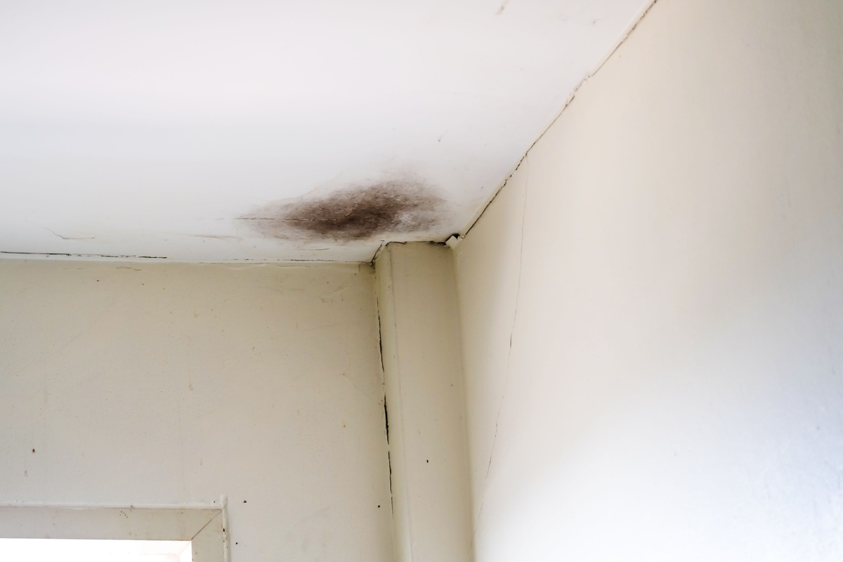 Vlhký roh u stropu místnosti časem přeroste ve vážný problém. 