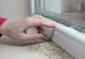 Vlhký vzduch v domácnosti může být velkým problémem