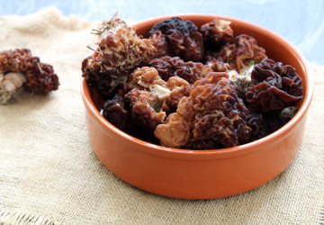 Ucháč obecný vypadá podobně jako jedlé smrže. 