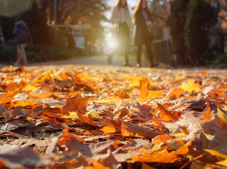 Víkend přinese počasí, které tu týdny nebylo Víkend přinese počasí, které tu týdny nebylo