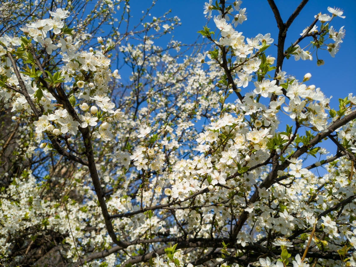 Teploty se výrazně propadnou