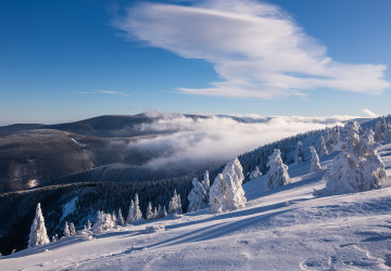 Česko čeká krutý prosinec Česko čeká krutý prosinec
