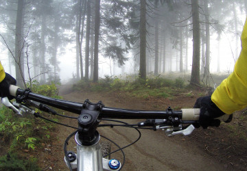 Cyklista v lese