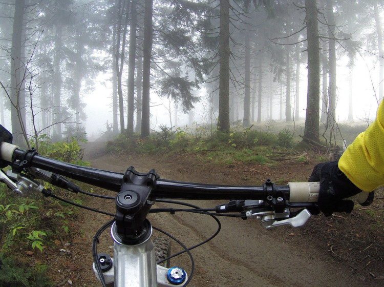 Cyklista v lese