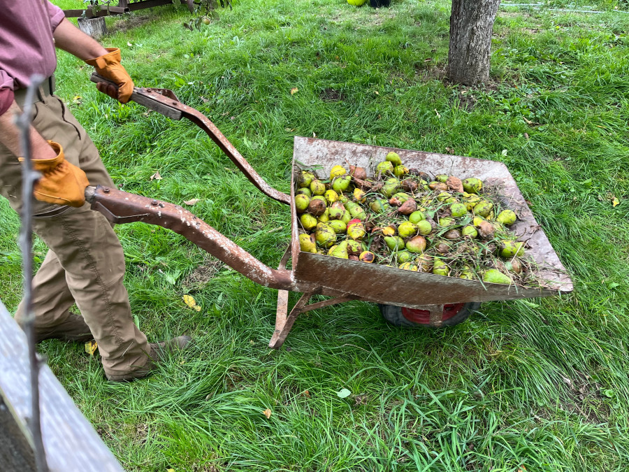 Zpracovaný bioodpad se často využívá k výrobě bioplynu nebo kompostu, který končí zpět v zemědělství.