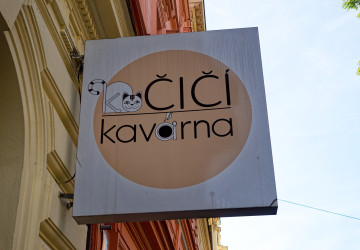 Kočičí kavárna v Praze se rozhodla zrušit dárkové poukazy.