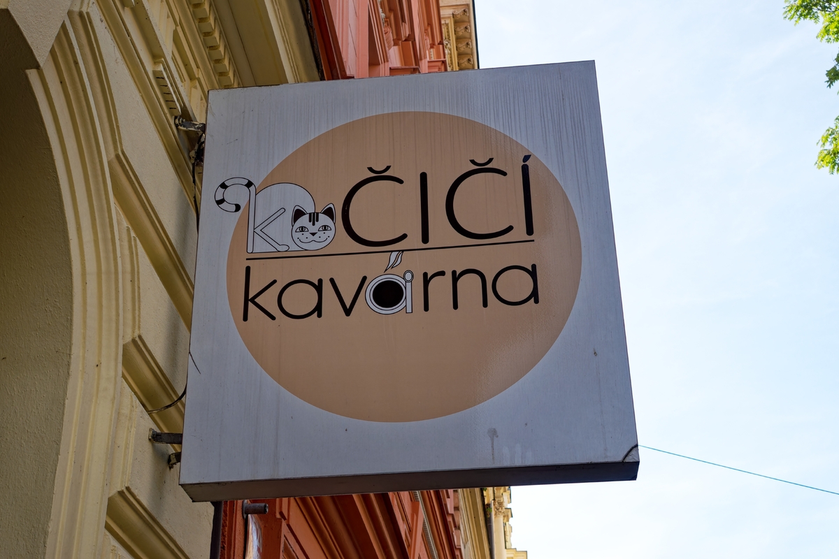 Kočičí kavárna v Praze se rozhodla zrušit dárkové poukazy.