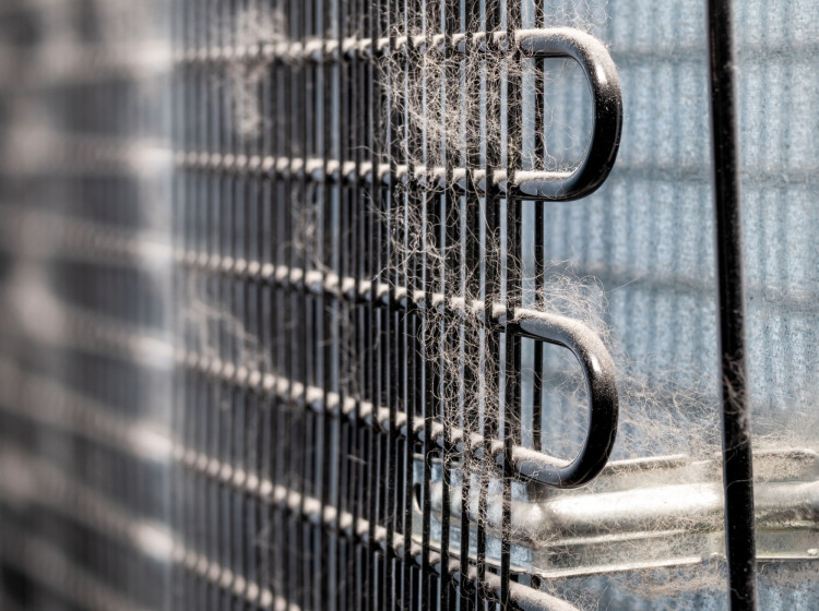 Na zadní straně lednice se může usazovat prach