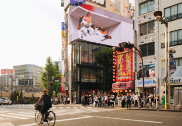 Z Japonska se k nám blíží hrozba.