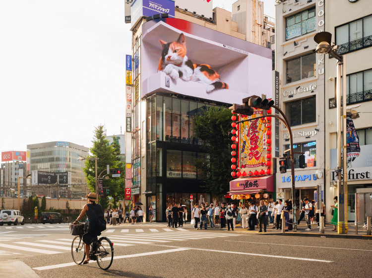 Z Japonska se k nám blíží hrozba.