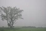 Počasí se dle meteorologů v následujících hodinách zhorší