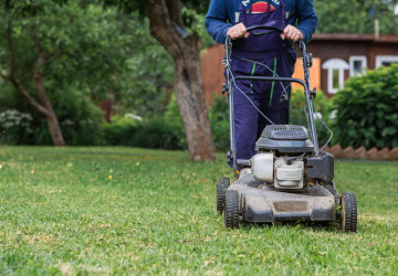 Na trhu se dnes nachází mnoho solidních modelů. 
