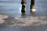 Pejskaři by měli dát pozor na tlapky svých mazlíčků kvůli posypové soli