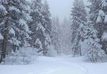 V horských oblastech bude sněžit.