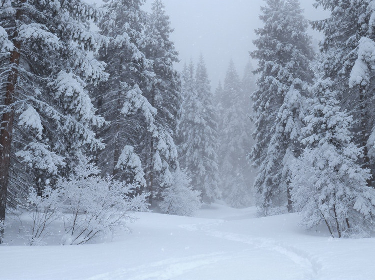 V horských oblastech bude sněžit. V horských oblastech bude sněžit.