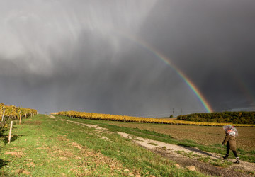 Meteorologové začínají být nervózní z předpovědi na červen. Česko může zasáhnout počasí, jaké tu roky nebylo