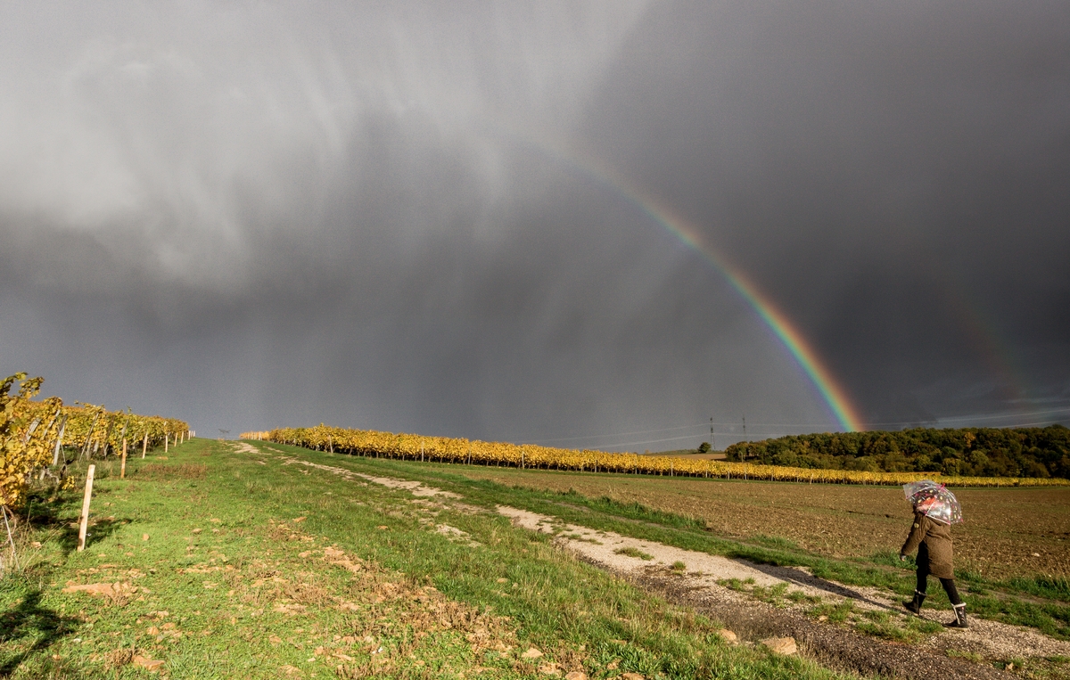 Meteorologové začínají být nervózní z předpovědi na červen. Česko může zasáhnout počasí, jaké tu roky nebylo