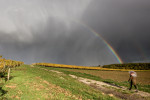 Meteorologové začínají být nervózní z předpovědi na červen. Česko může zasáhnout počasí, jaké tu roky nebylo