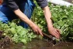 Srpnová zahrada má toho k nabídnutí víc, než se na první pohled zdá Srpnová zahrada má toho k nabídnutí víc, než se na první pohled zdá