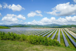 Velké fotovoltaické elektrárny začnou už příští rok platit novou daň
