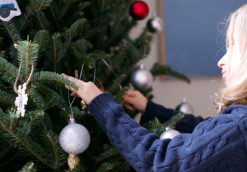V tento den podle feng šuej odstrojte vánoční stromeček V tento den podle feng šuej odstrojte vánoční stromeček