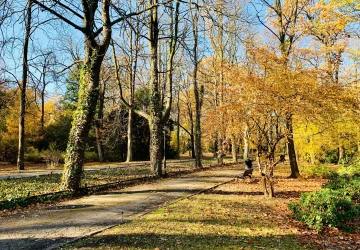Do Česka se žene poslední výrazné oteplení