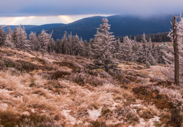 Česko čeká z meteorologického hlediska poměrně perný týden. 