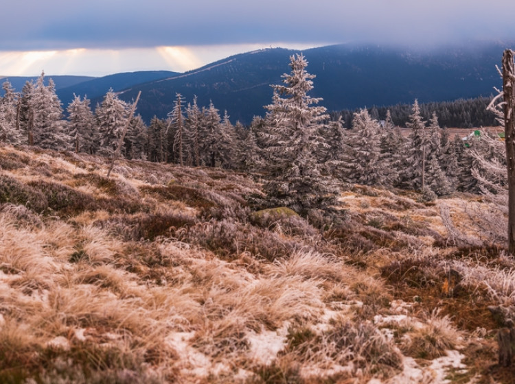 Česko čeká z meteorologického hlediska poměrně perný týden. 
