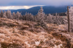 Česko čeká z meteorologického hlediska poměrně perný týden. 