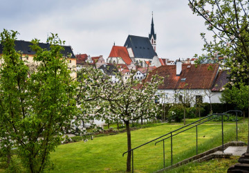 Škůdci dokážou zahradu výrazně poničit. 