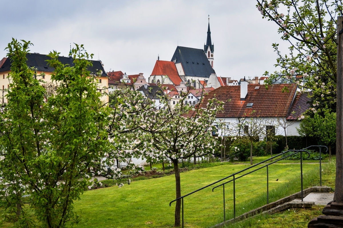 Škůdci dokážou zahradu výrazně poničit. 