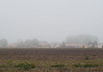 Místo sněhu dorazí mlhy Místo sněhu dorazí mlhy