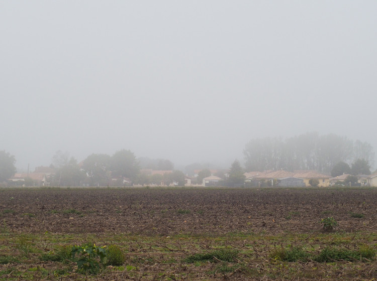 Místo sněhu dorazí mlhy