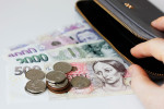 Dopady aktuální situace mohou v ČR pocítit především běžné domácnosti