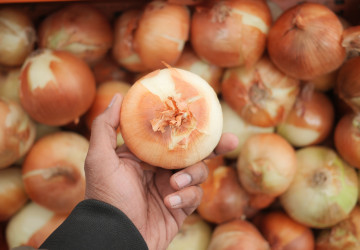 Červená, nebo bílá cibule: Celý život jste krájeli špatnou