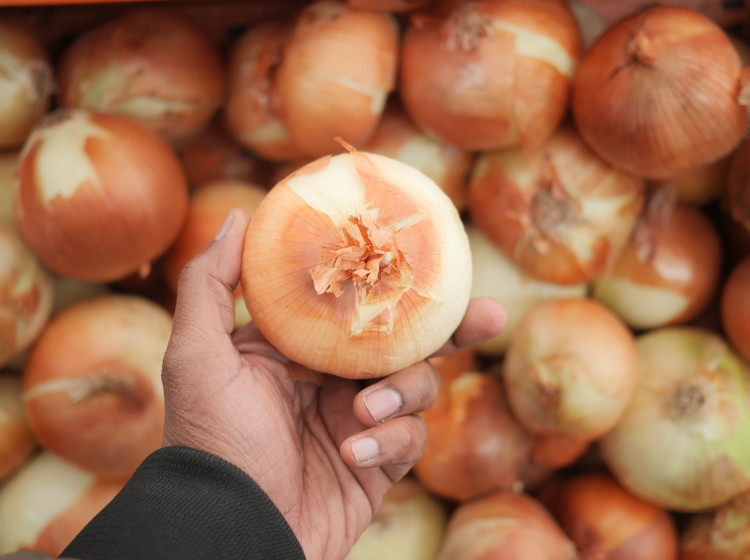 Červená, nebo bílá cibule: Celý život jste krájeli špatnou Červená, nebo bílá cibule: Celý život jste krájeli špatnou